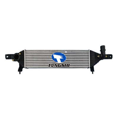 适用于NISSAN DUALIS (J10，JJ10) 1.6 DCI OEM:14461-BB50A/14461-BB50B